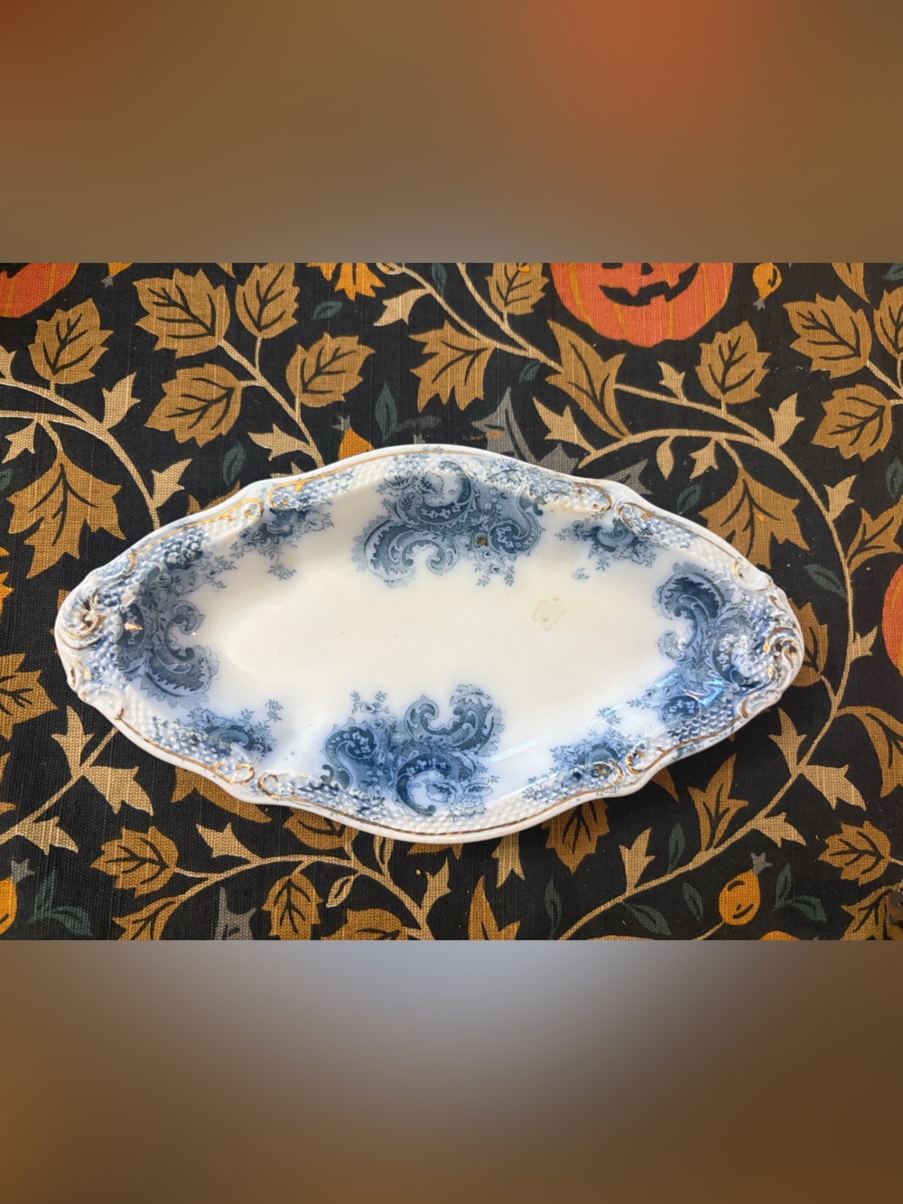 Vintage Blue and White Porcelain Oval Serving Platter